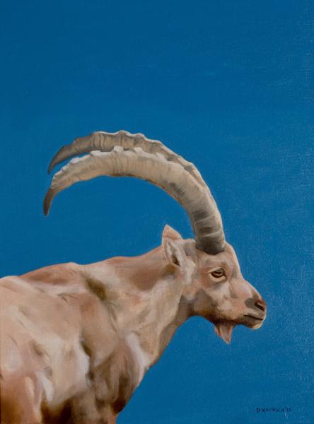 Steinbock Hellabrunn, Öl auf Leinwand, 30x40cm